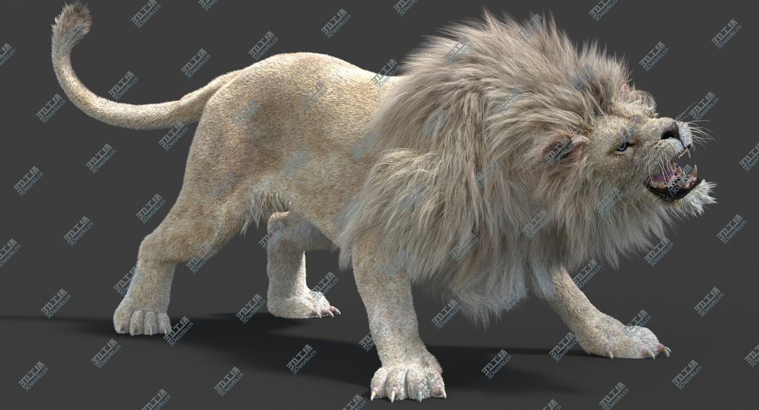 images/goods_img/202105072/3D model White Lion (2) (Fur)(Animated)/4.jpg